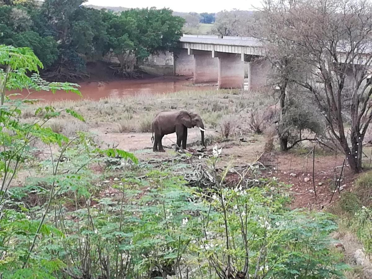 Three Bridges B&B Hoedspruit Kültér fotó